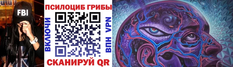 купить   Калуга  Галлюциногенные грибы мицелий 